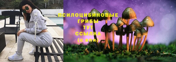 PSILOCYBIN Бугульма